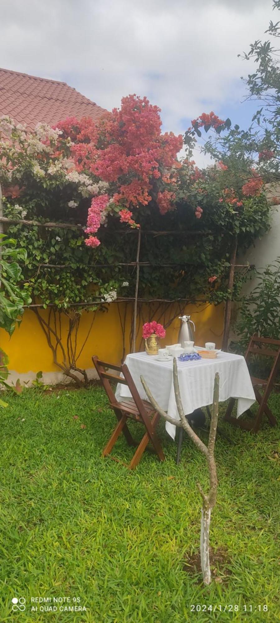 Bed and Breakfast Quinta Rosita Ticul Exteriér fotografie