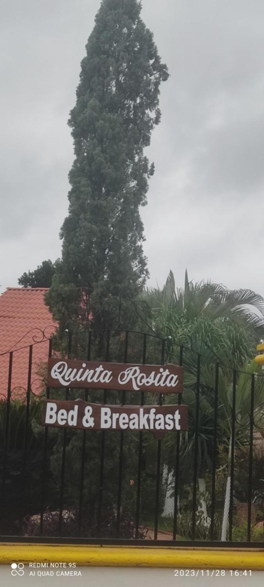 Bed and Breakfast Quinta Rosita Ticul Exteriér fotografie