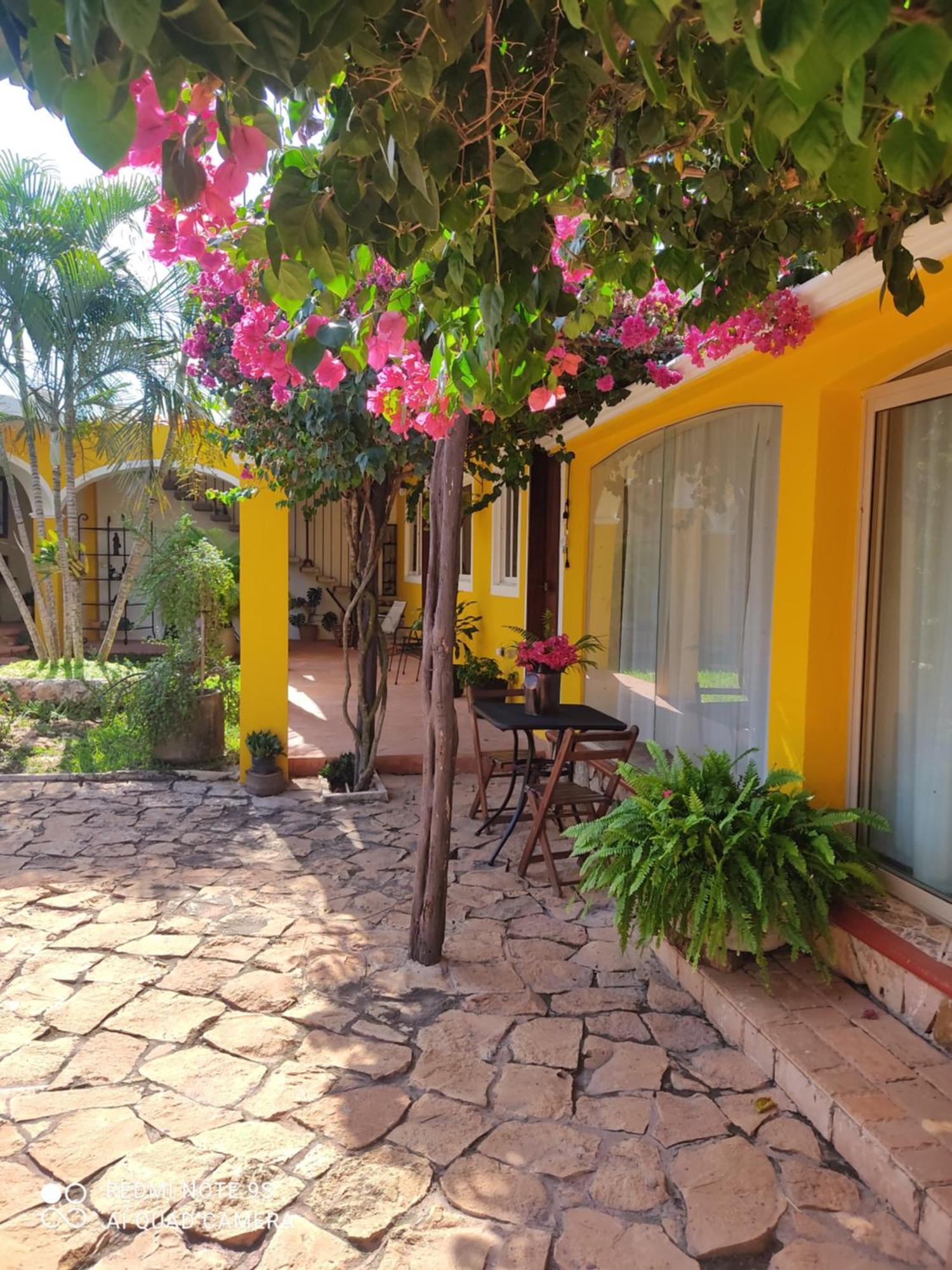 Bed and Breakfast Quinta Rosita Ticul Exteriér fotografie