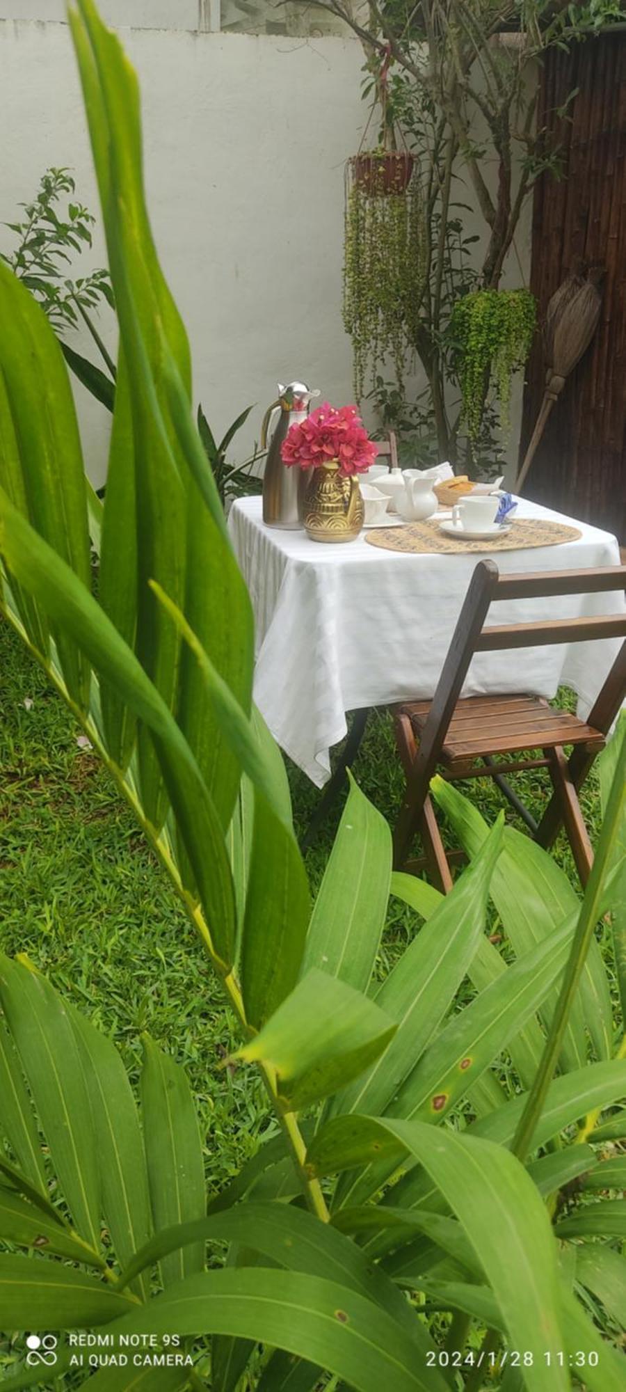Bed and Breakfast Quinta Rosita Ticul Exteriér fotografie