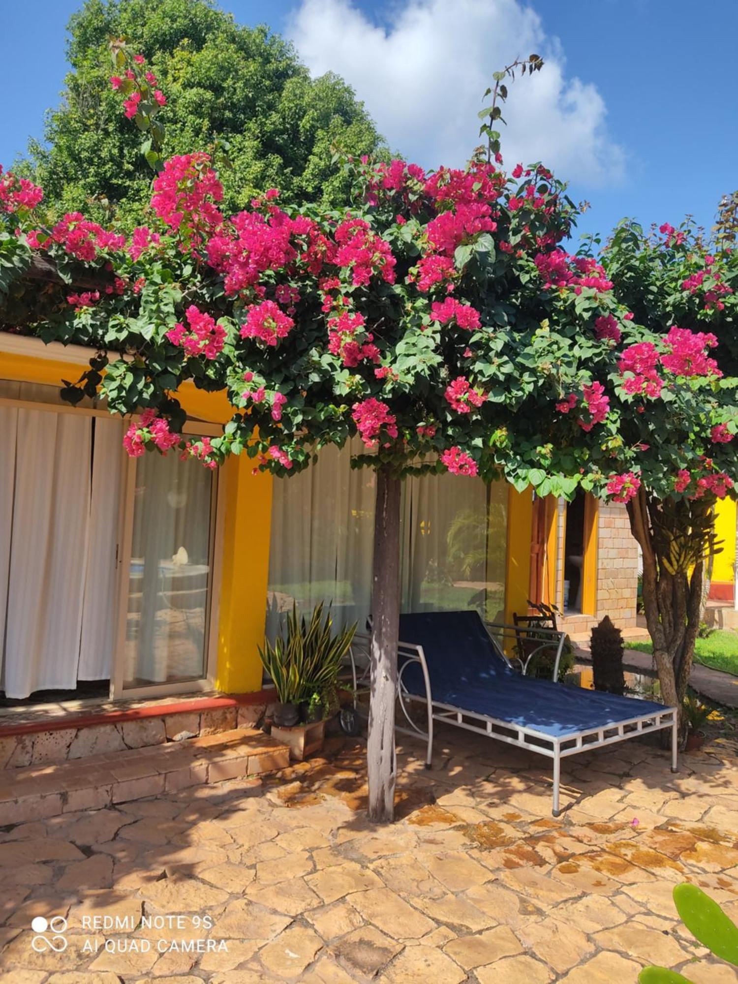 Bed and Breakfast Quinta Rosita Ticul Exteriér fotografie