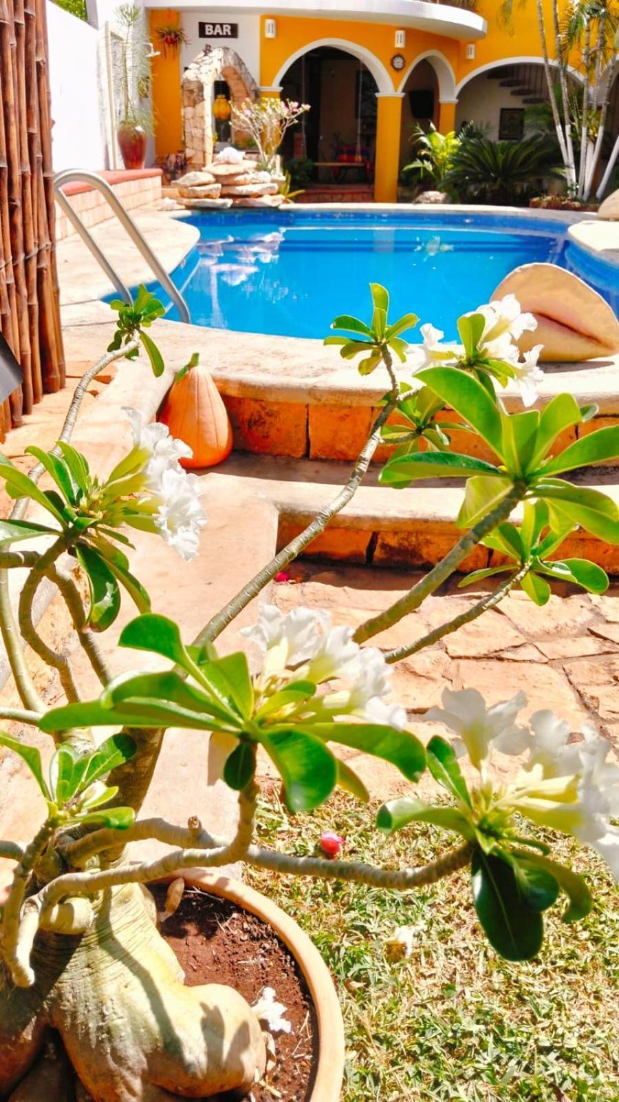 Bed and Breakfast Quinta Rosita Ticul Exteriér fotografie