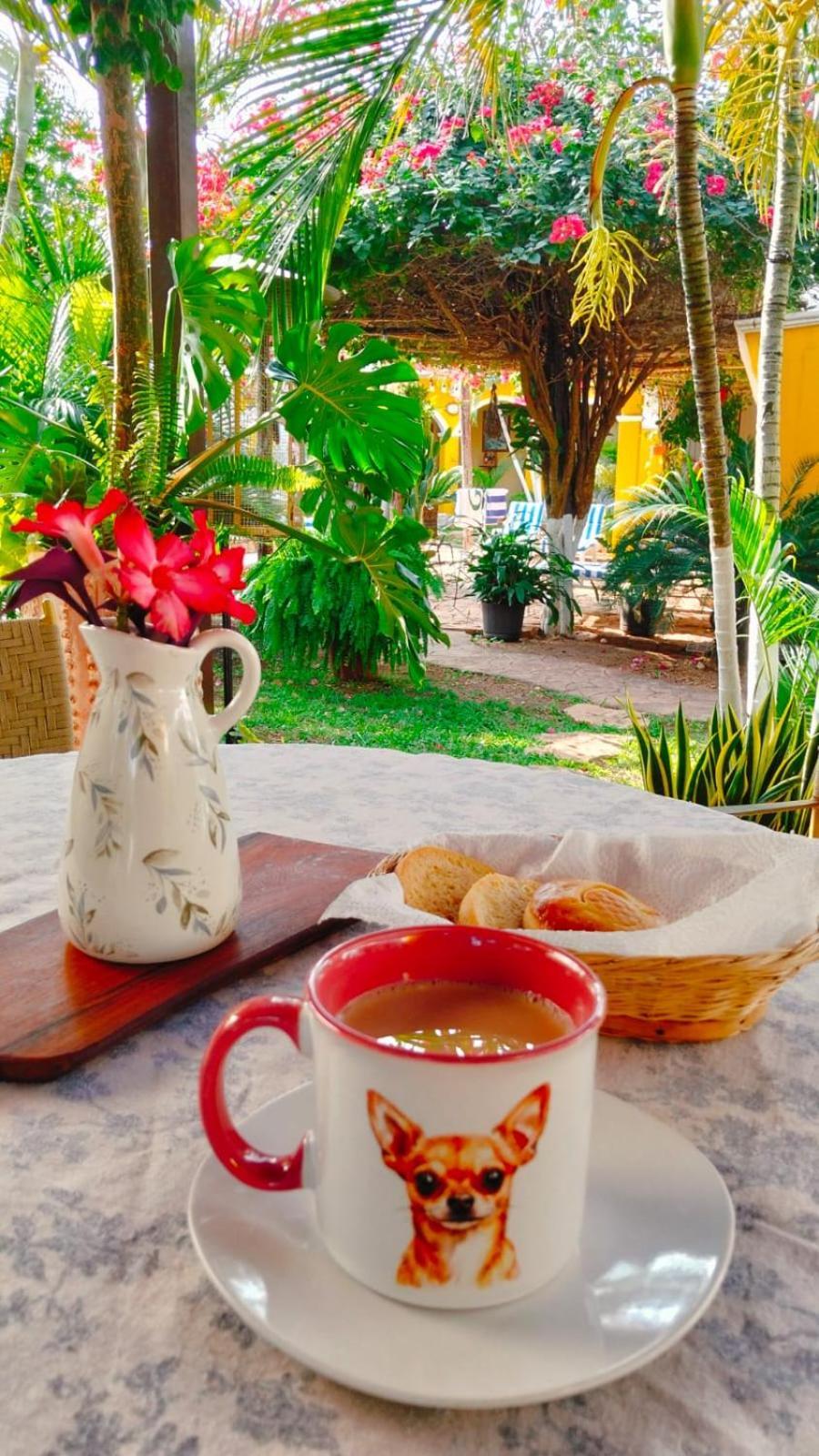 Bed and Breakfast Quinta Rosita Ticul Exteriér fotografie